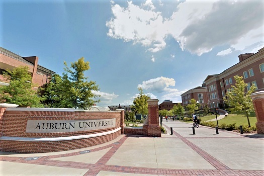 Auburn University
奧本大學